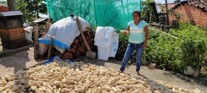 A farmer in Guerrero, Mexico holding ears from her corn harvest, photographed by Marcos Cortez Bacilio